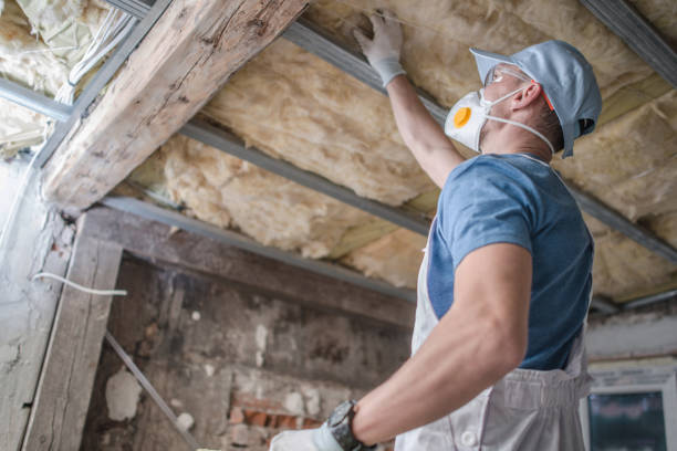 Best Residential Insulation in Hughestown, PA